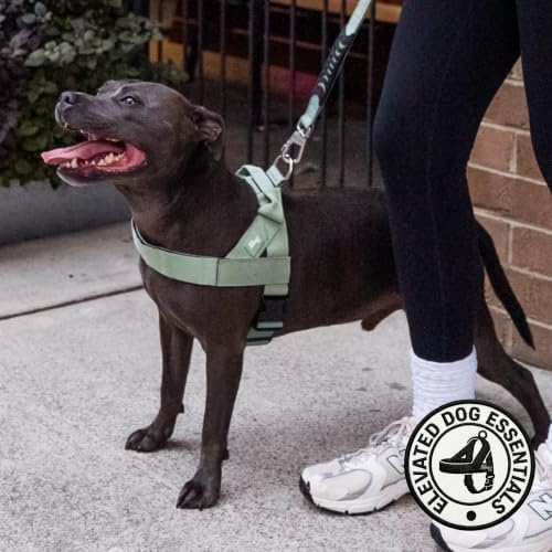 Dog Friendly Co. Dog Harness for Medium Sized Dogs - Image 5