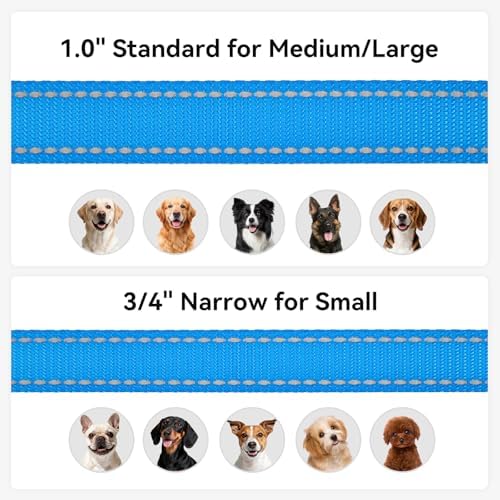 Joytale Reflective Dog Leash for Small Dogs, 4 FT x 3/4", Sky Blue - Image 6