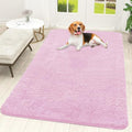 OLANLY Dog Door Mat for Muddy Paws 59x35, Super Absorbent Chenille Mud Mat by OLANLY