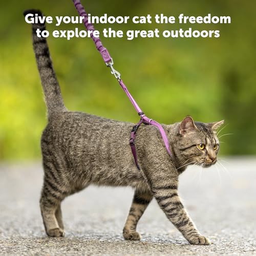 PetSafe Come with Me Kitty Harness and Bungee Leash - Image 3