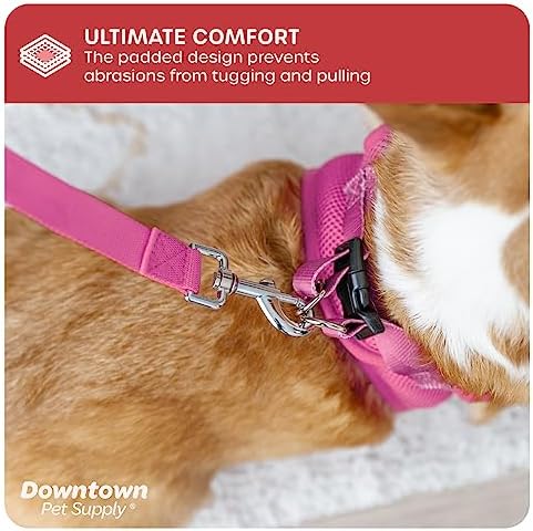 Downtown Pet Supply Step-in Dog Harness – No Pull, Adjustable Padded Mesh - Image 6