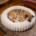Donut Small Medium Dog Bed Washable Kitty & Puppy Bed, 28ins White by VhenWhen
