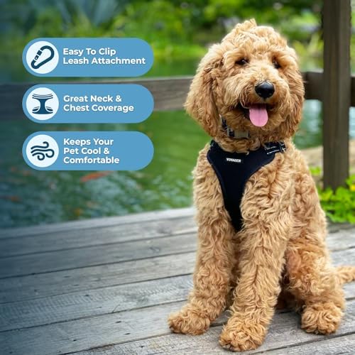 Best Pet Supplies Voyager Adjustable Step-in Flex Breathable Mesh Dog Harness - Image 5