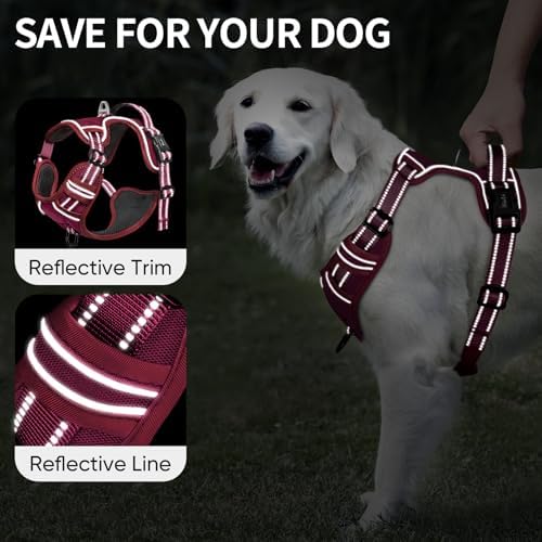 HEELE Dog Harness for Medium Dogs No Pull Dog Vest Harness - Image 3