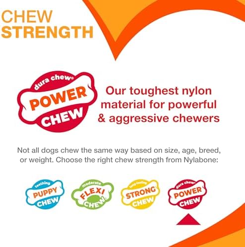 Nylabone Power Chew Original Bone Dog Chew Toy, Bacon Flavor - Image 4