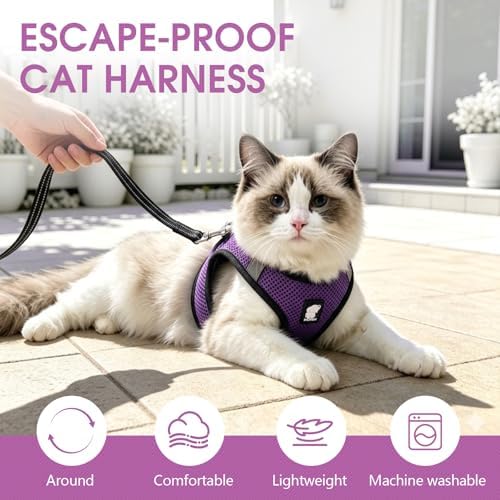 Heywean Cat Harness and Leash Escape Proof, Soft Breathable Mesh Kitty Walking - Image 5