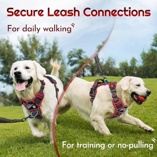 Eagloo Dog Harness No Pull for Small Dogs, Easy On & Off - Image 4