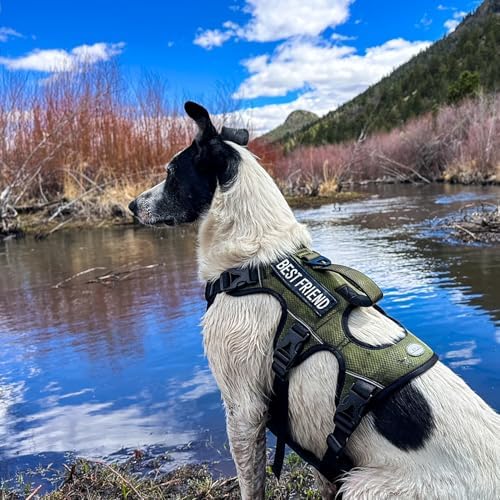 AUROTH Escape Proof No Pull Dog Harness - Image 7