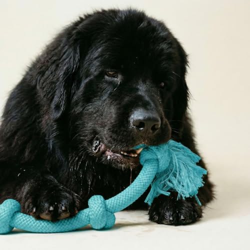 Playology Tug Rope Dog Toys for Large Breeds - Image 3