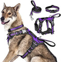 WINSEE Pet Harness Collar and Leash Set, All-in-one Reflective Dog Harness No by WINSEE