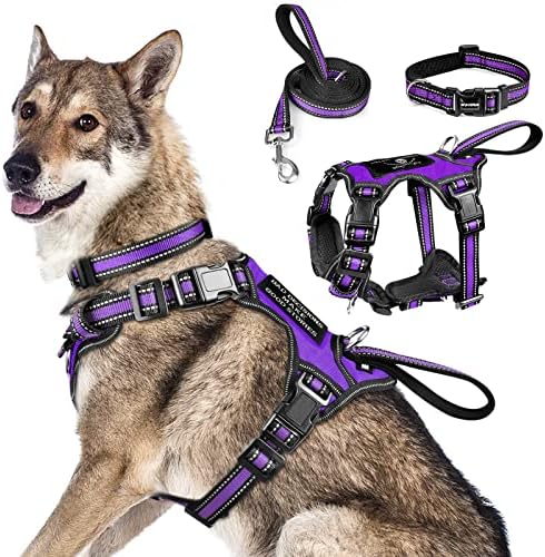 WINSEE Pet Harness Collar and Leash Set, All-in-one Reflective Dog Harness No by WINSEE