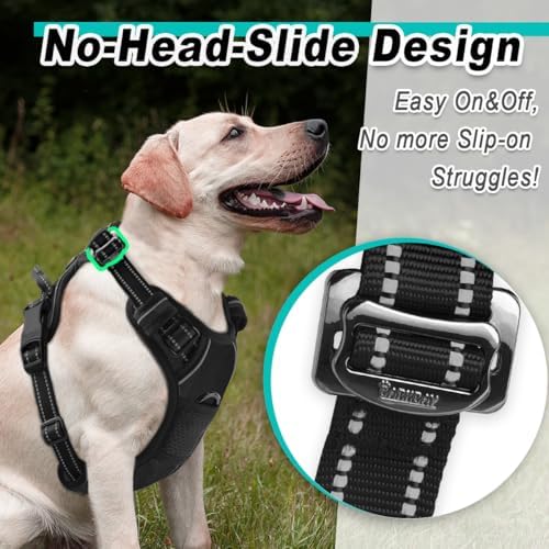 BARKBAY Dog Harness for Small Sized Dog No Pull 2 Clips 3 Buckles Dog Vest - Image 2