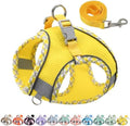 AIITLE Tiny Dog Harness and Leash Set, Step-in Vest by AIITLE-FORPETSBETTERLIFE