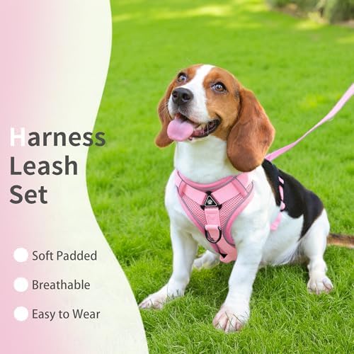 Dog Harness Small Sized Dog Pet Vest - Image 2