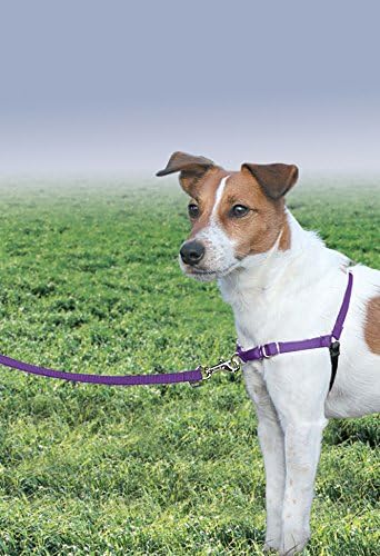 PetSafe Easy Walk Harness, No Pull Dog Harness, Deep Purple - Image 2