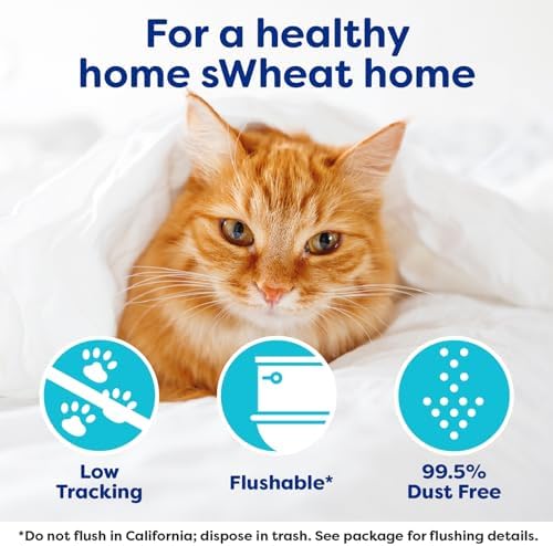 sWheat Scoop Natural Wheat Cat Litter, Fast Clumping - Image 5