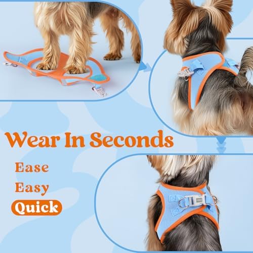 rabbitgoo Step-in Small Dog Harness, Puppy Vest - Image 6