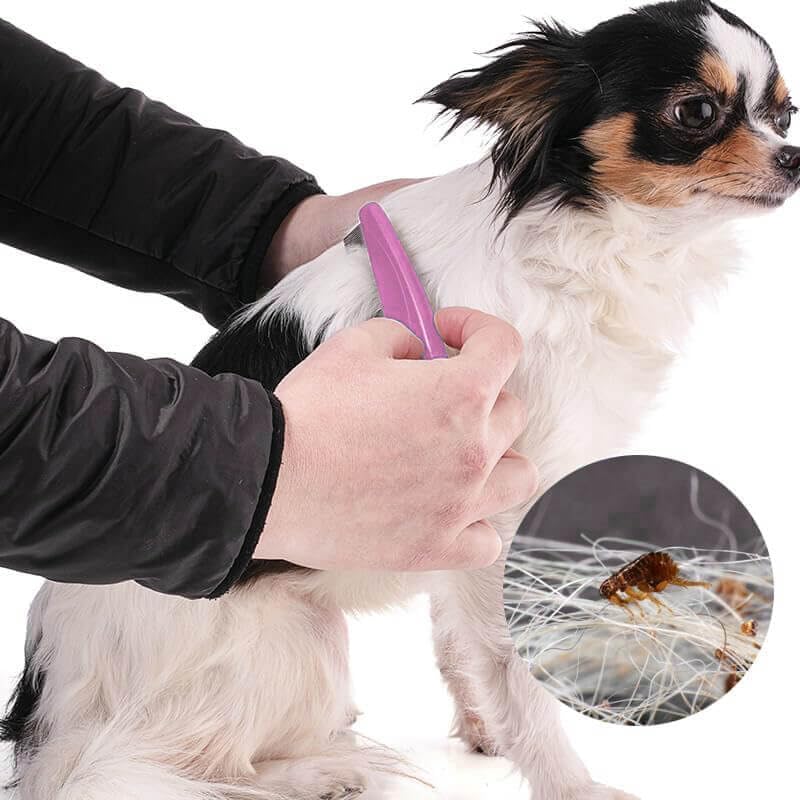 Flea Comb for Dogs and Cats, Fine-Toothed Pet Combs for Detangling or Dematting - Image 5