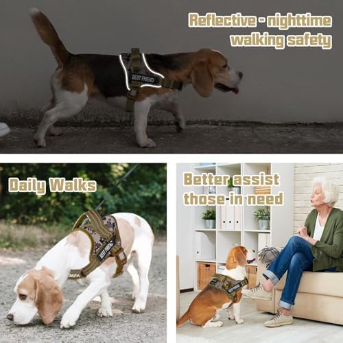 AUROTH Dog Harness and Leash Set - Image 3
