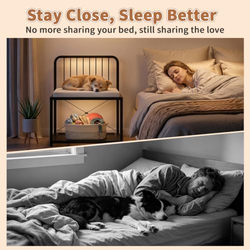 Raised Dog Bed, 5-Level Height Metal Dog Bunk Bed - Image 4