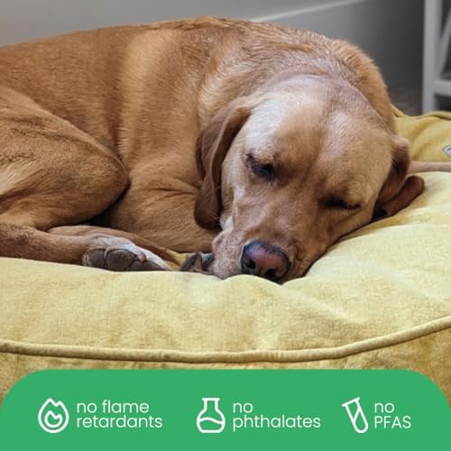 Molly Mutt Elysium Dog Bed Duvet Cover, GOTS-Certified 100% Cotton Canvas Cover - Image 6