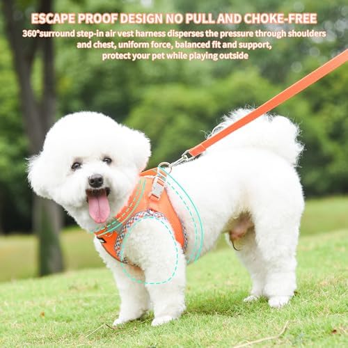 AIITLE Tiny Dog Harness and Leash Set, Step-in Vest - Image 5