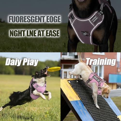 Dog Harness and Leash Set for X-Large Dogs, No Pull Tactical Dog Harness - Image 7
