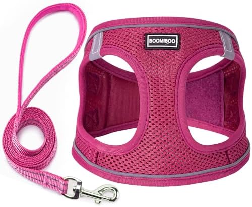 Dog Harness with Leash Set, Step-in Adjustable Puppy Vest, Rose Red XXS by BOOMIBOO