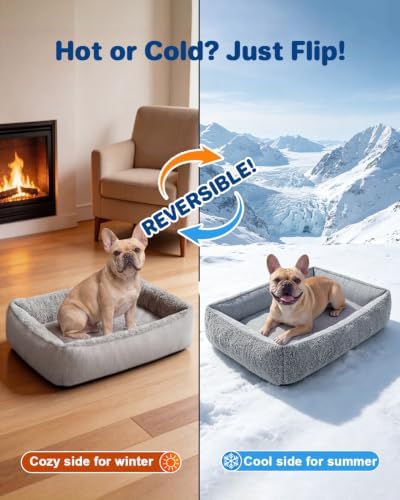 Cooling Dog Bed for Small Medium Dogs - Image 3