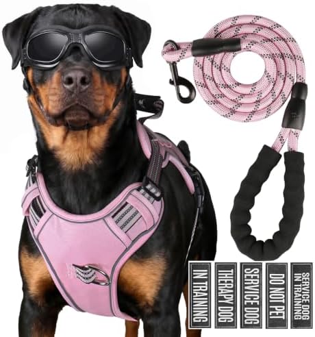 Dog Harness and Leash Set for X-Large Dogs, No Pull Tactical Dog Harness by Unknown