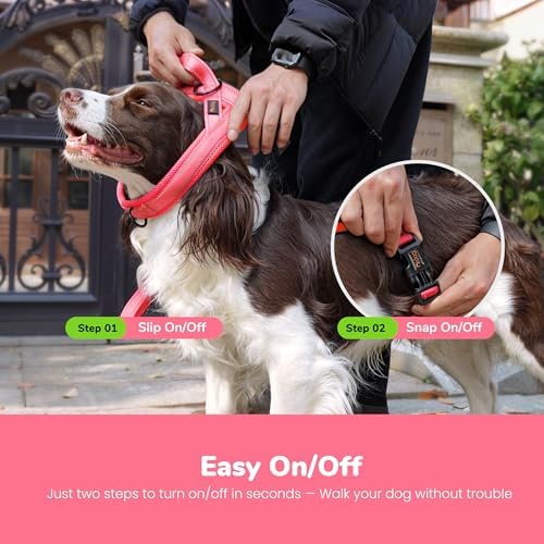 Didog No Pull Dog Harness for Small Dogs, Breathable Mesh Padded - Image 4