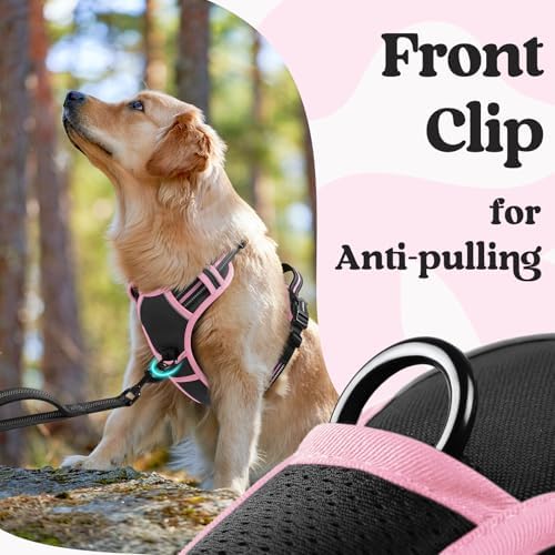 rabbitgoo Dog Harness for Large, Updated Easy On & Off - Image 6