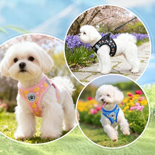 BEAUTYZOO Small Dog Harness and Leash Set, No Pull Puppy Pet Vest-Planet - Image 3