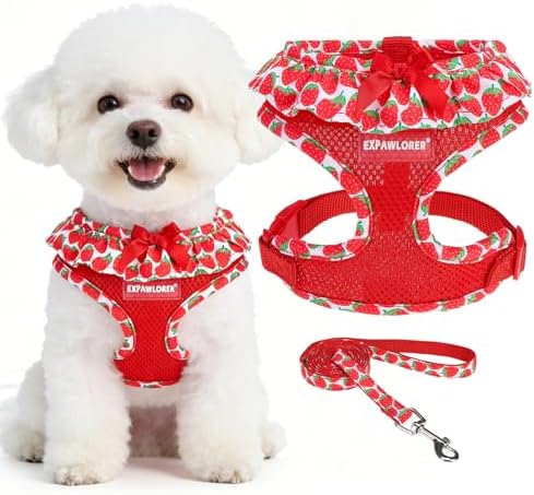 EXPAWLORER Step-in Dog Harness Small Sized and Leash Set by EXPAWLORER