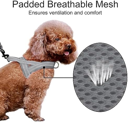 Plutus Pet No Pull Dog Harness for Small Dogs, Breathable Mesh Padded - Image 3