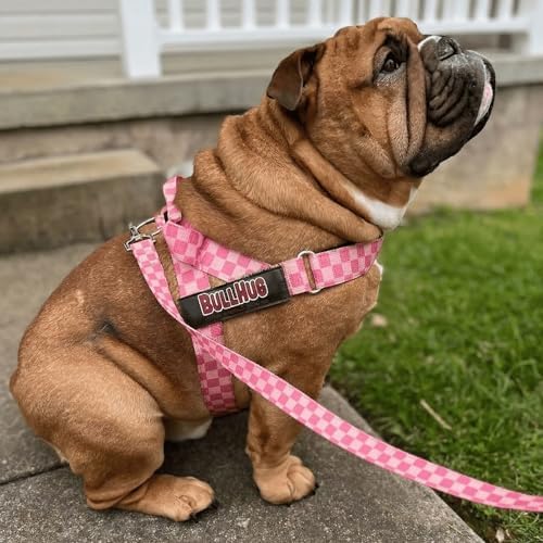 BULLHUG Adjustable Dog Harness– No Pull, No Choke – - Image 4