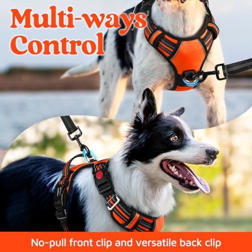 rabbitgoo Dog Harness Small Sized, No Pull 3 Buckles Easy On & Off - Image 3