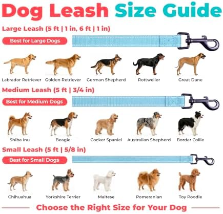 Best Pet Supplies Voyager Nylon Dog Leash - Image 6