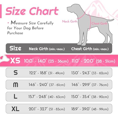 Eagloo Dog Harness for Small Dogs, No Pull Pet Vest - Image 2