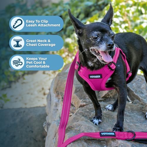 Best Pet Supplies Voyager Adjustable Step-in Flex Breathable Mesh Dog Harness - Image 6