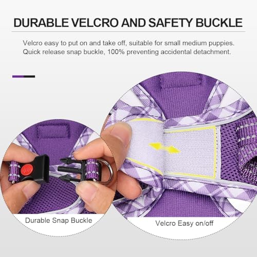 Mercano Soft Mesh Dog Harness and Leash Set, Step-in Reflective Breathable - Image 4