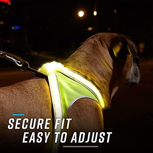 noxgear LightHound Light Up Reflective Dog Harness - Image 6
