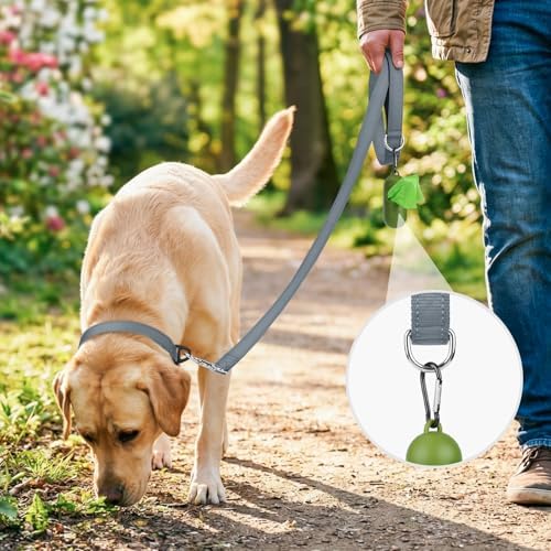 Joytale Reflective Dog Leash for Small Dogs, 6 FT x 3/4" - Image 2