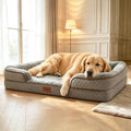 Orthopedic Memory Foam Dog Bed by FollowUs