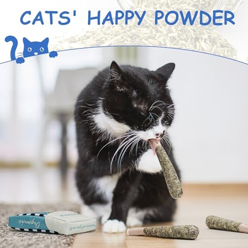 Nocciola 3 Pack Catnip Toys for Cats, Funny Cat Toys Filled - Image 5