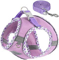 Dog Harness & Leash Set by TomteNisse