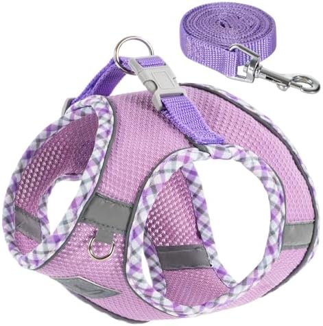 Dog Harness and Leash Set by TomteNisse