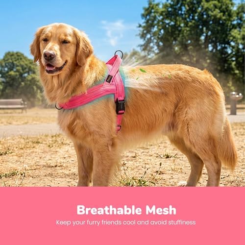 Didog No Pull Dog Harness for Large Dogs, Breathable Mesh Padded - Image 2