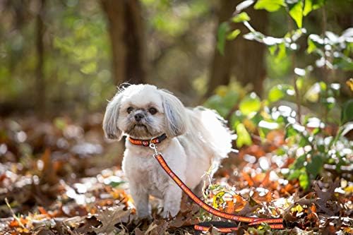 Pets First NFL Licensed Kansas City Chiefs Pet Leash, Size Large – Durable - Image 4