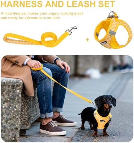 AIITLE Step in Small Dog Harness and Leash Set, Puppy Pet Vest - Image 2